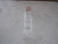 DSC00253.JPG