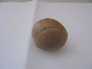 DSC00258.JPG