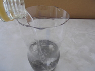 DSC00262.JPG
