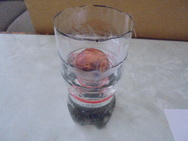 DSC00263.JPG