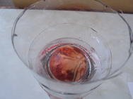 DSC00264.JPG