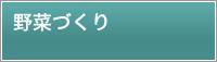 野菜づくり