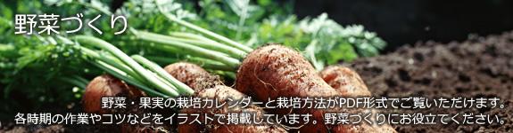 野菜づくり