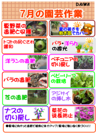 ７月の園芸作業.png