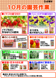 １０月の園芸作業.png