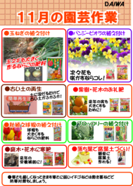 １１月の園芸作業.png