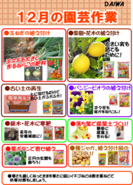 １２月の園芸作業.png