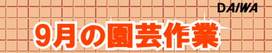 ９月の園芸作業タイトル.png