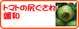 トマトの尻ぐされ緩和.png