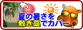 ７月の園芸作業 敷き藁.png