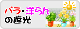 ７月の園芸作業 遮光.png