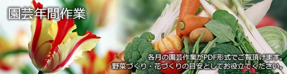 園芸年間作業