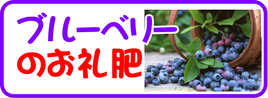 ブルベリーのお礼肥え.png