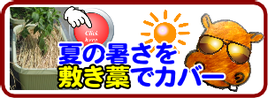敷き藁.png